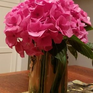 Meet your Posher, Cecilia